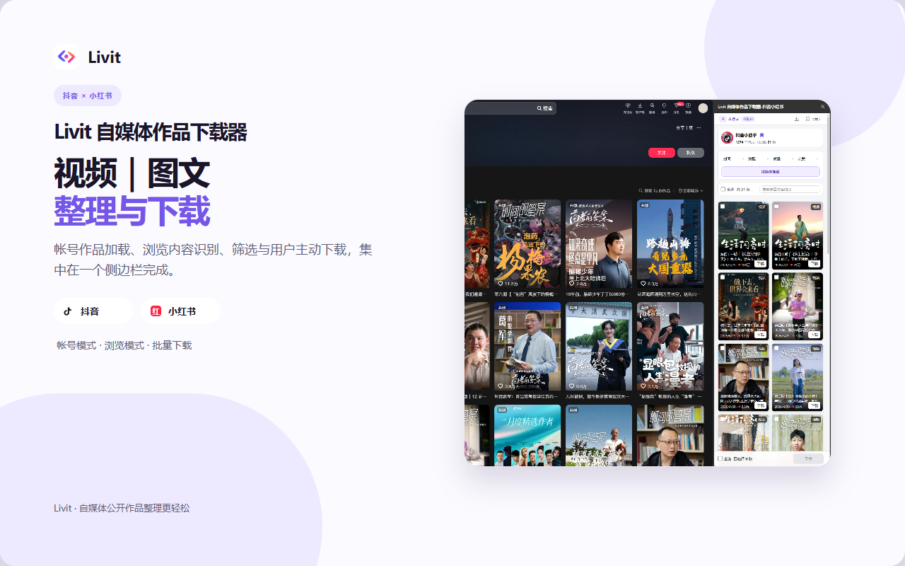 Livit 自媒体作品下载器的产品总览